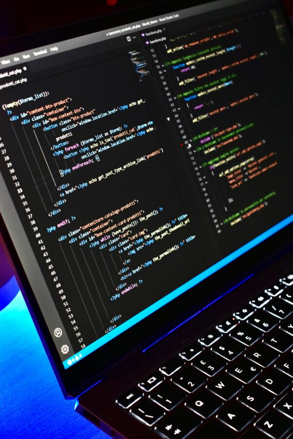 Web Development (Full Stack)